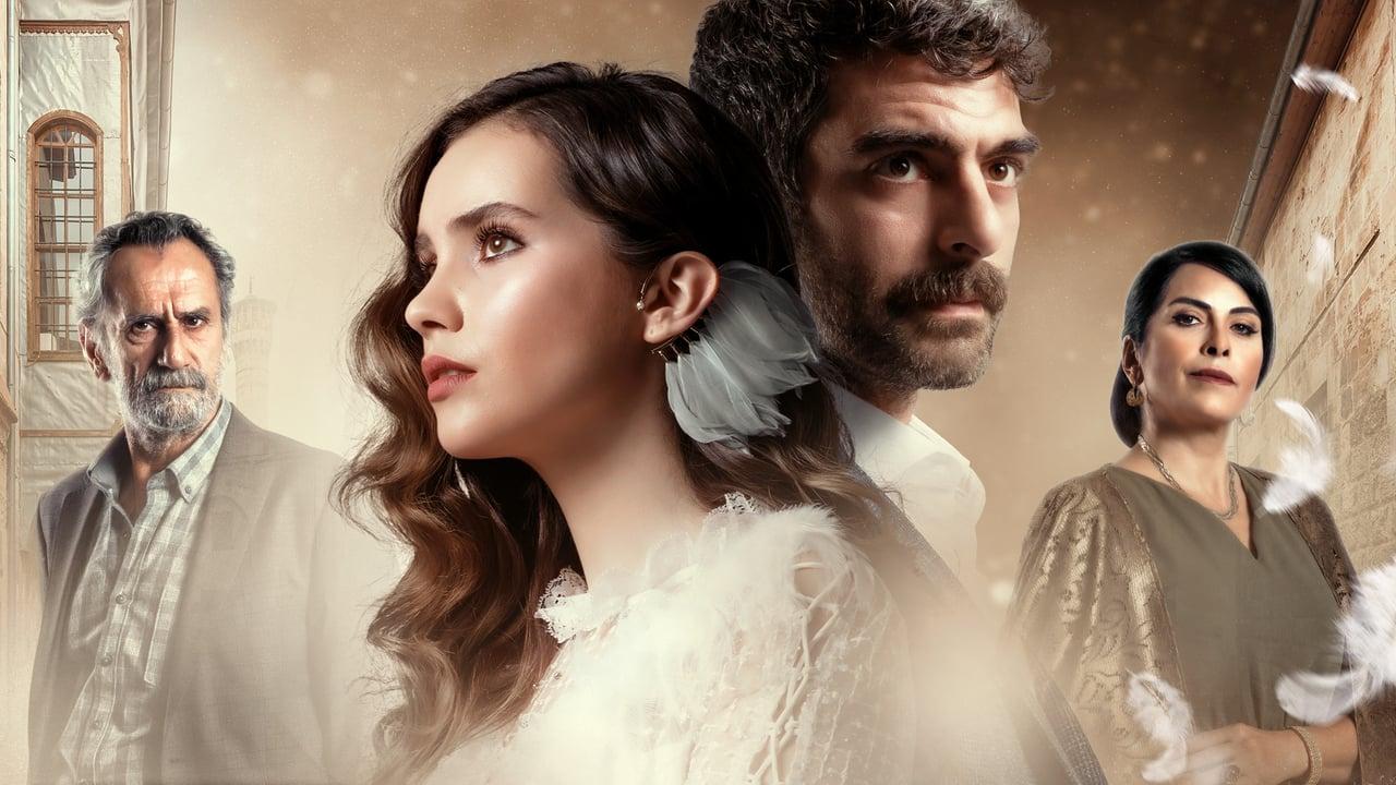 شاهد مسلسل الحمامة مدبلج