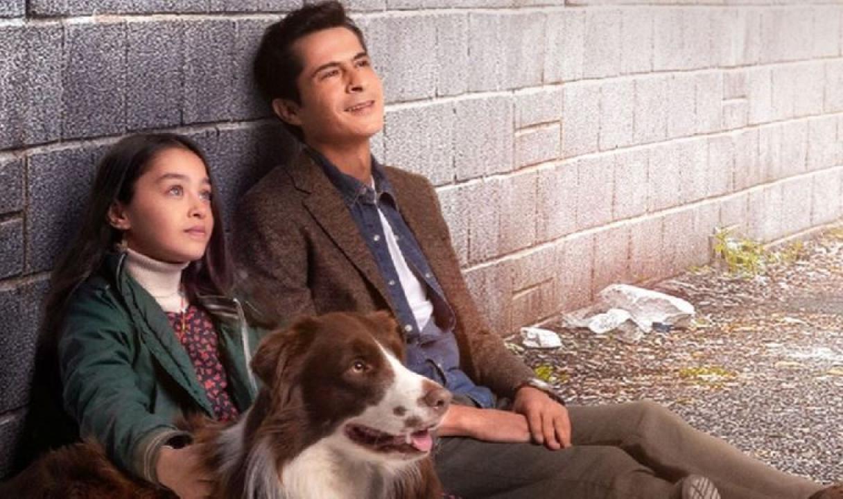 شاهد مسلسل اميرة بلا تاج الحلقة 13 مترجمة للعربية HD