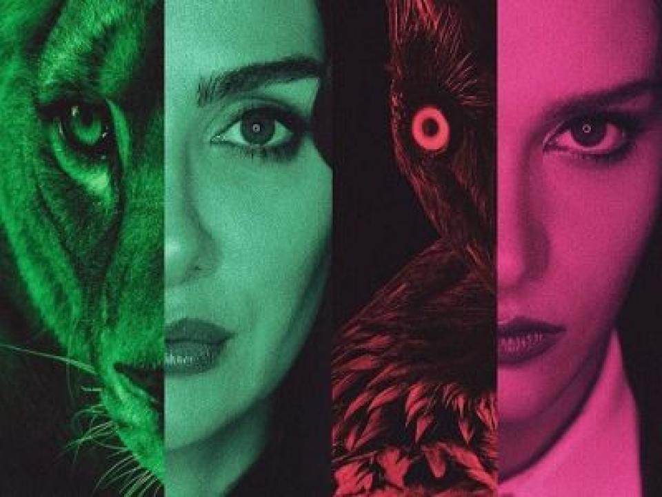 شاهد مسلسل الطموح الاعمي الحلقة 8 مترجمة للعربية HD